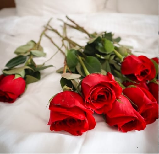 A vibrant bouquet of fresh, blooming roses
